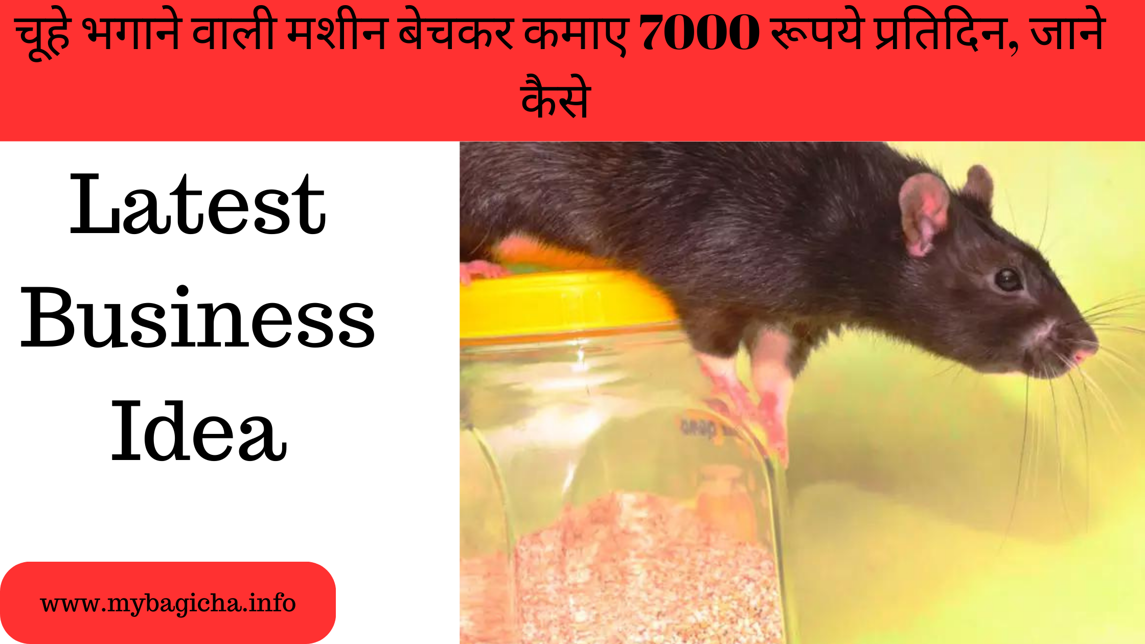 चूहे भगाने वाली मशीन बेचकर कमाए 7000 रूपये प्रतिदिन, जाने कैसे | Latest Business Idea