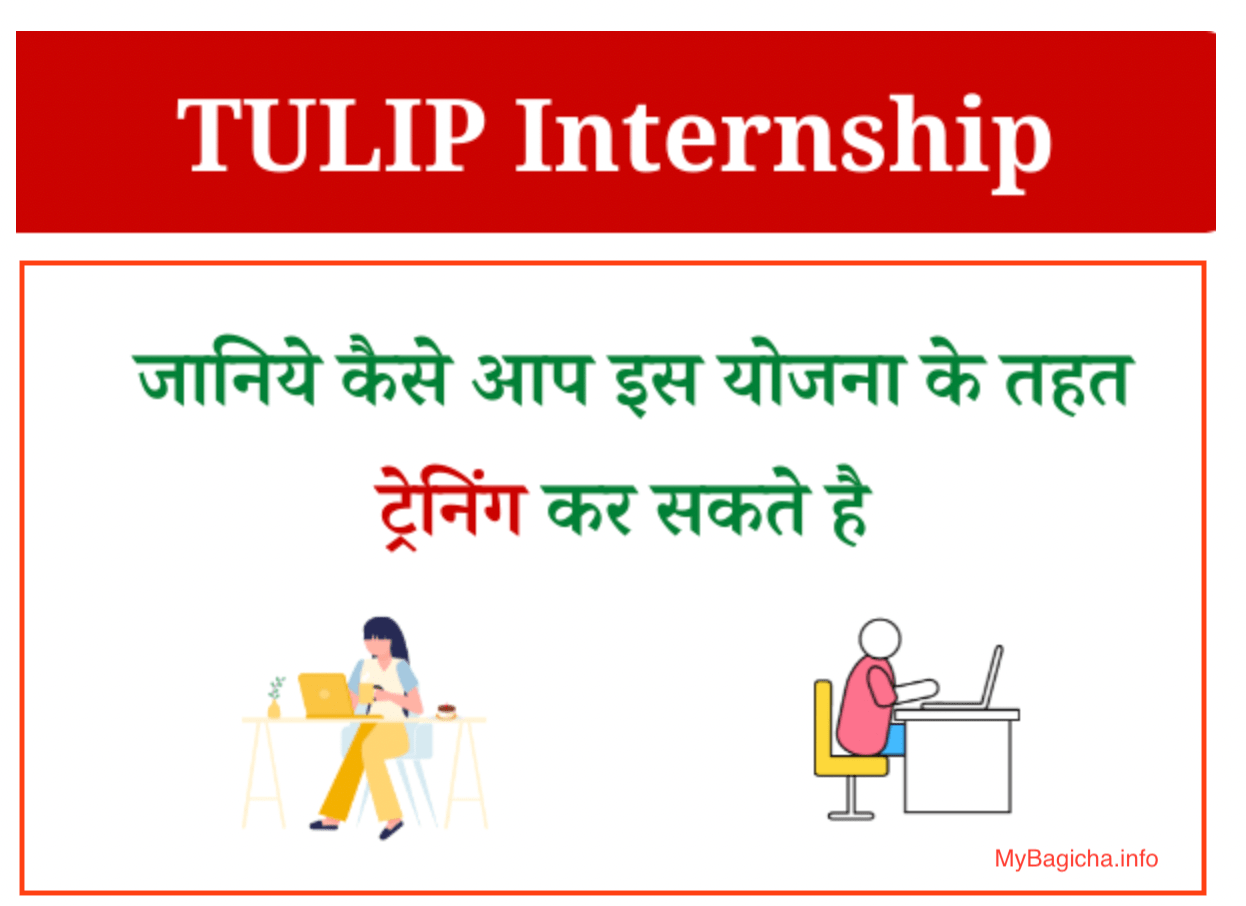 TULIP Internship  2022: Apply Online