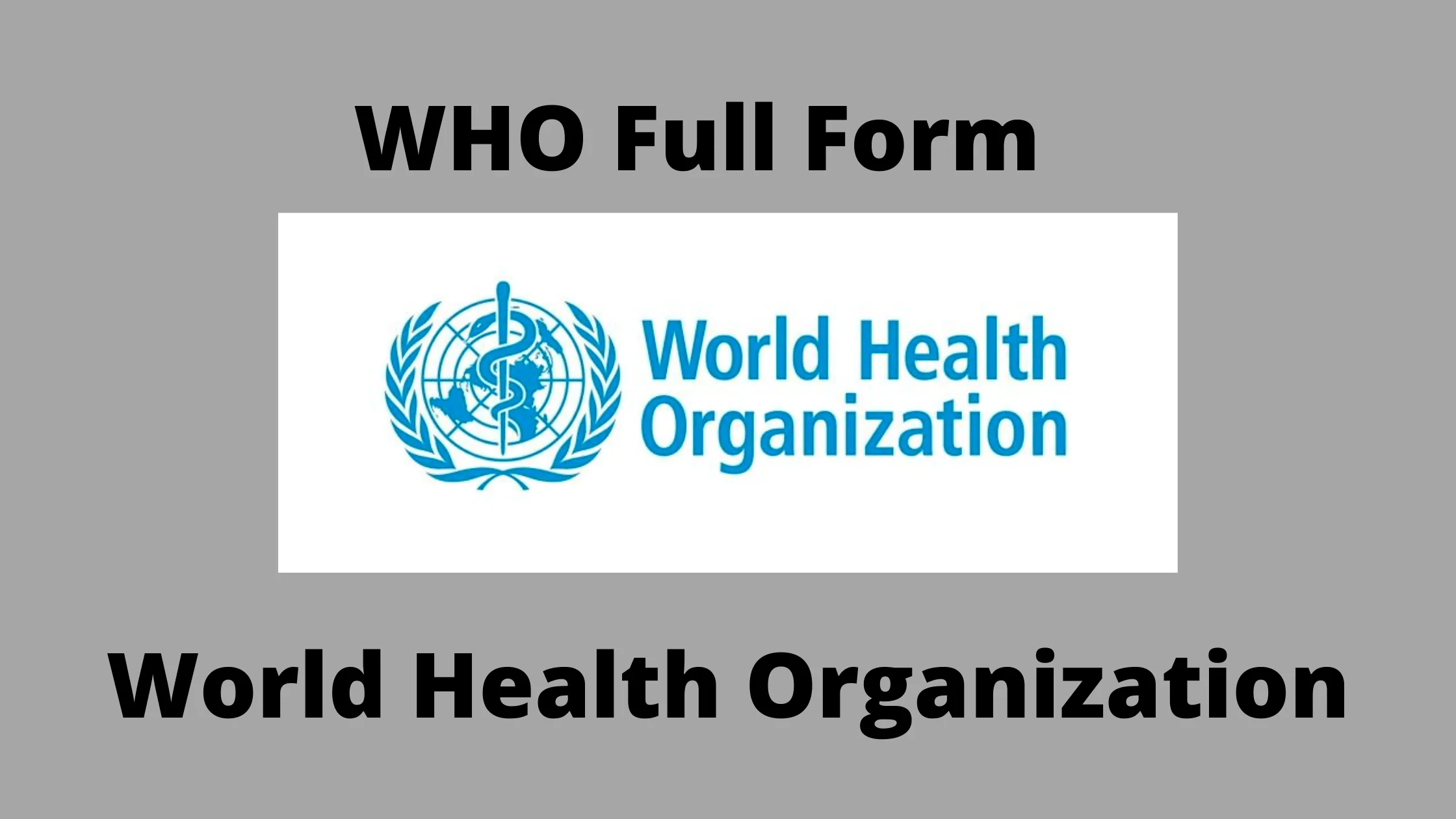 WHO Full Form In Hindi | WHO का फुल फॉर्म