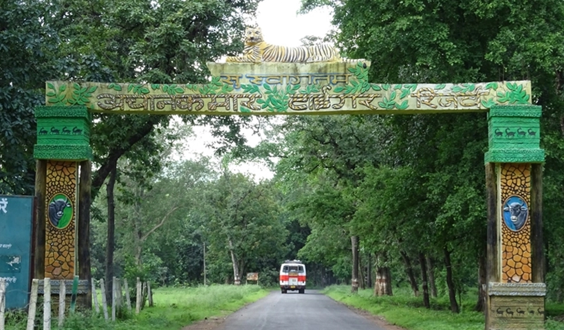 अचानकमार वन्यजीव अभयारण्य बिलासपुर