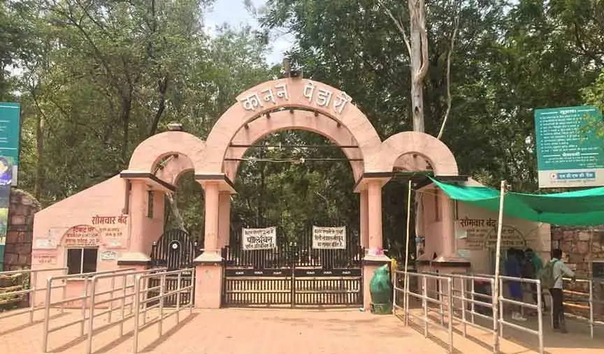 कानन पेंडारी बिलासपुर