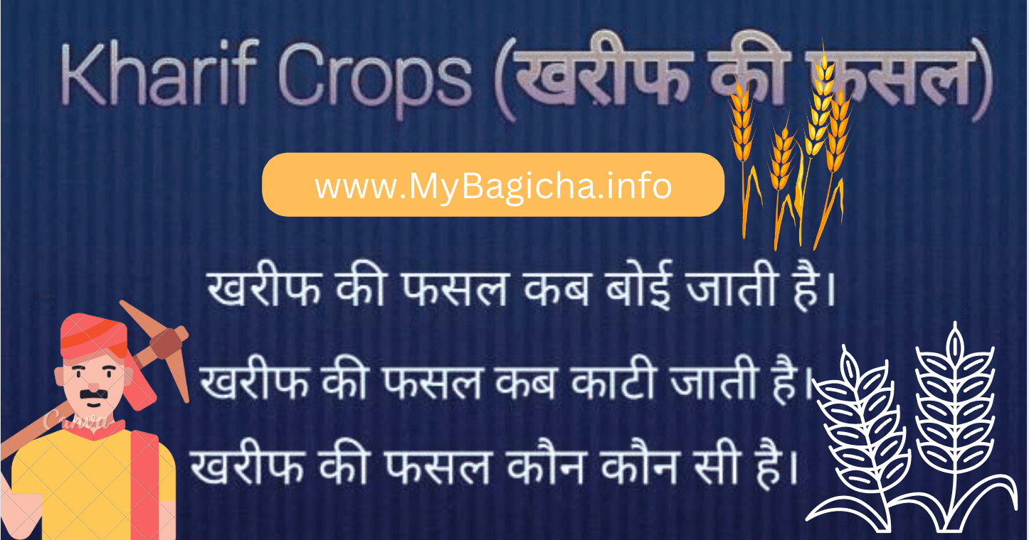 Kharif Crops (खरीफ की फसल) की पूरी जानकारी