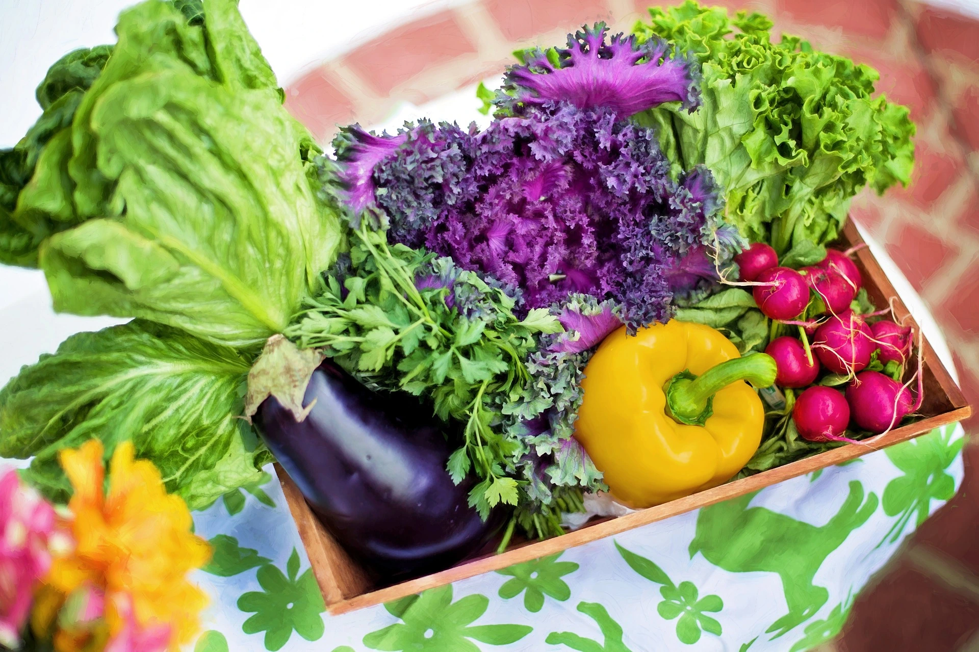 Types Of Nutrition And Nutrition Deficiency Diseases
